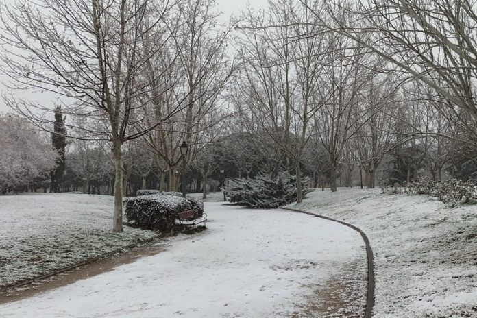 Las mejores fotos de la gran nevada en Alcorcón