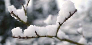 Días de nieve y temperaturas bajo cero en Alcorcón