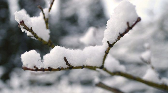 Días de nieve y temperaturas bajo cero en Alcorcón