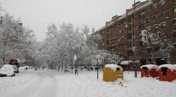 Consulta en tiempo real si puedes tirar o no la basura en tu isla de Alcorcón