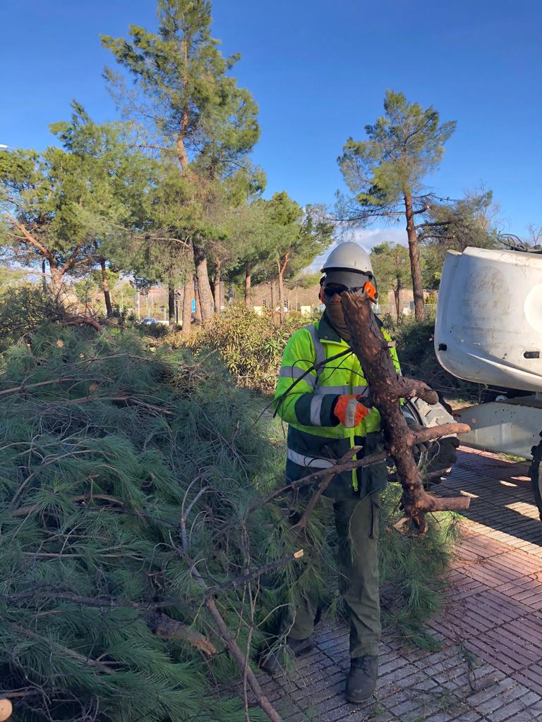 Reapertura de parques de Alcorcón desde este fin de semana