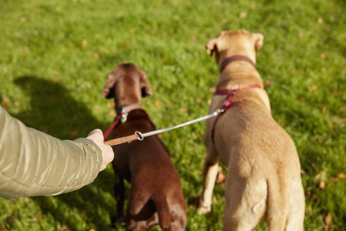 Un cartel anima a los vecinos de Alcorcón a recoger los excrementos caninos