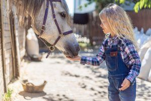 El Colegio Amanecer lanza un proyecto pionero con animales en Alcorcón