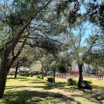 alcorcon-iluminacion