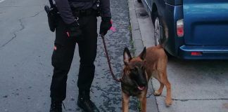 La Policía recupera un coche robado en el que habían abandonado a un perro en Alcorcón