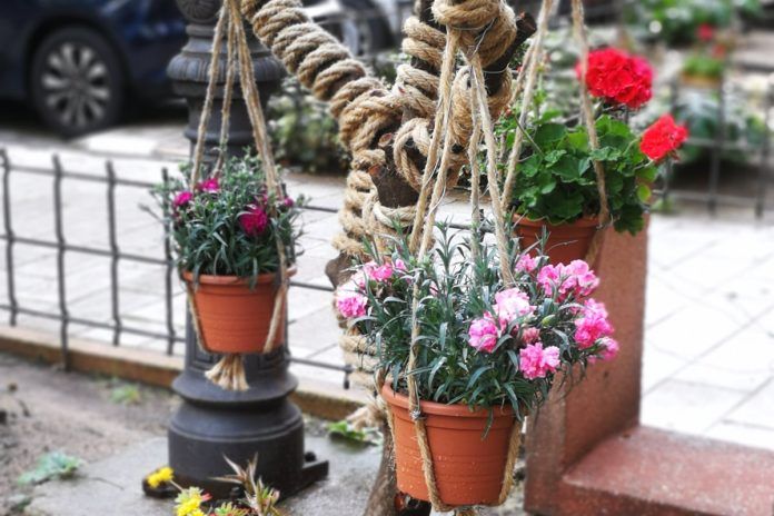 El jardín más bonito de Alcorcón