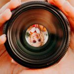 alcorconhoy, tus noticias de Alcorcón