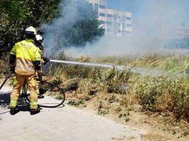 Los Bomberos de Alcorcón intervienen en incendios, accidentes y con abejas esta semana Los Bomberos de Alcorcón intervienen en incendios, accidentes y con abejas esta semana