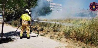 Los Bomberos de Alcorcón intervienen en incendios, accidentes y con abejas esta semana