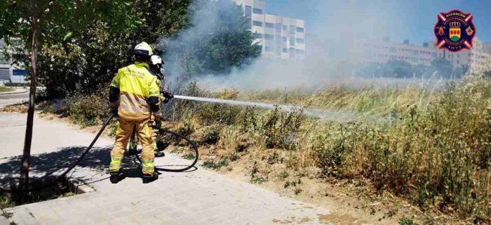 Los Bomberos de Alcorcón intervienen en incendios, accidentes y con abejas esta semana