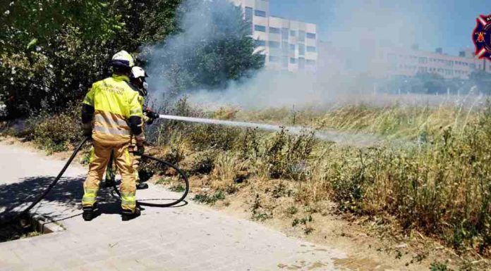 Los Bomberos de Alcorcón intervienen en incendios, accidentes y con abejas esta semana