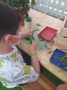 TresAguas lanza talleres gratuitos en Alcorcón para concienciar a los niños sobre cuidar el medioambiente