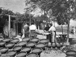 Así éramos en Alcorcón en 1898