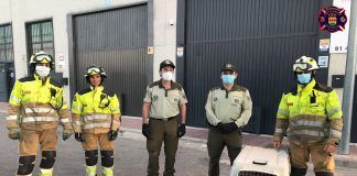  Los animales también son protegidos por las autoridades del municipio. Rescatan a un buitre que estaba atrapado en Alcorcón