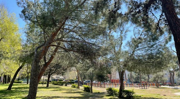 Intervención policial esta madrugada en las Fiestas de Alcorcón