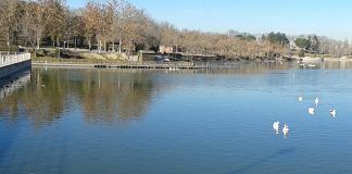 Nuevos detalles sobre la mujer hallada muerta en el lago del Parque Polvoranca de Alcorcón