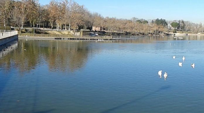 Nuevos detalles sobre la mujer hallada muerta en el lago del Parque Polvoranca de Alcorcón Nuevos detalles sobre la mujer hallada muerta en el lago del Parque Polvoranca de Alcorcón