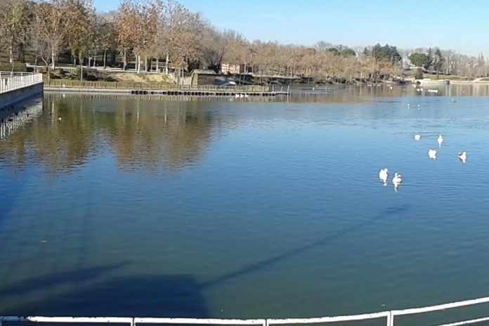 Nuevos Detalles Sobre La Mujer Hallada Muerta En El Lago Del Parque