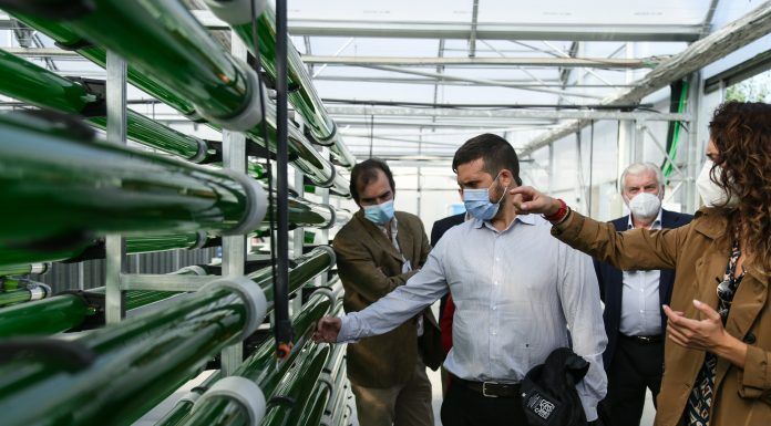 Alcorcón tendrá un edificio que reciclará el aire a través de microalgas
