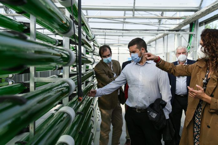Alcorcón tendrá un edificio que reciclará el aire a través de microalgas