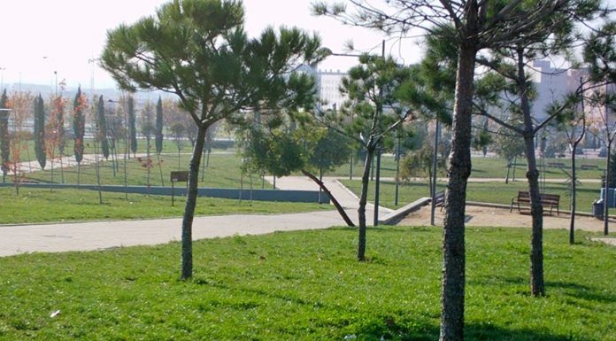 La alcaldesa, Natalia de Andrés, insiste: “No hubo apuñalamientos en las Fiestas de Alcorcón”