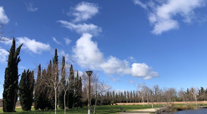El fabuloso gesto de un vecino de Alcorcón El fabuloso gesto de un vecino de Alcorcón
