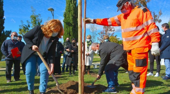 Alcorcón se vuelca un año más con el Parkinson