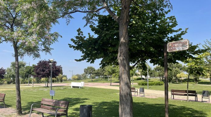 Alcorcón protege sus árboles de las orugas.