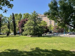 Alcorcón, protagonista de nuevo en la televisión con una causa muy solidaria Alcorcón, protagonista de nuevo en la televisión con una causa muy solidaria