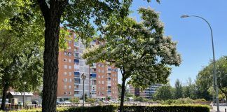 Detenida una pareja por agredirse mutuamente en Alcorcón