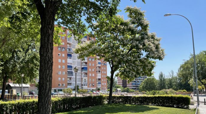 Detenida una pareja por agredirse mutuamente en Alcorcón