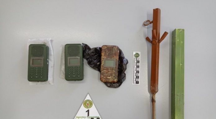 Dos cazadores furtivos detenidos en Alcorcón