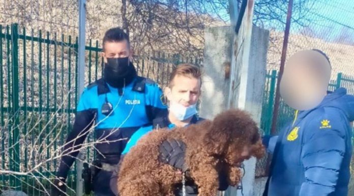 Gran gesto de colaboración ciudadana en Alcorcón El gran gesto de colaboración ciudadana en Alcorcón