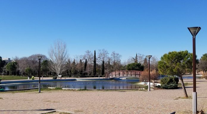 Sancionan a varios vecinos por no recoger los excrementos de sus perros en Alcorcón