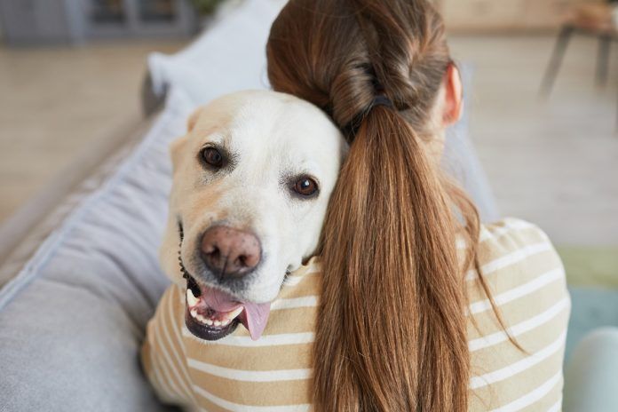 Tener un perro evita la muerte prematura a los vecinos de Alcorcón