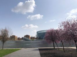 Susana Mozo, concejal del PP en Alcorcón, procesada por liquidar las obras del CREAA