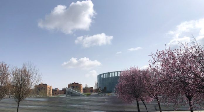 Susana Mozo, concejal del PP en Alcorcón, procesada por liquidar las obras del CREAA