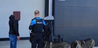 Denuncian un posible caso de abandono animal en Alcorcón