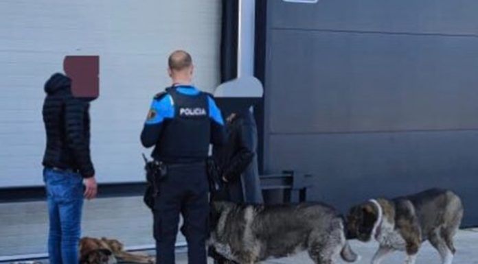 Denuncian un posible caso de abandono animal en Alcorcón