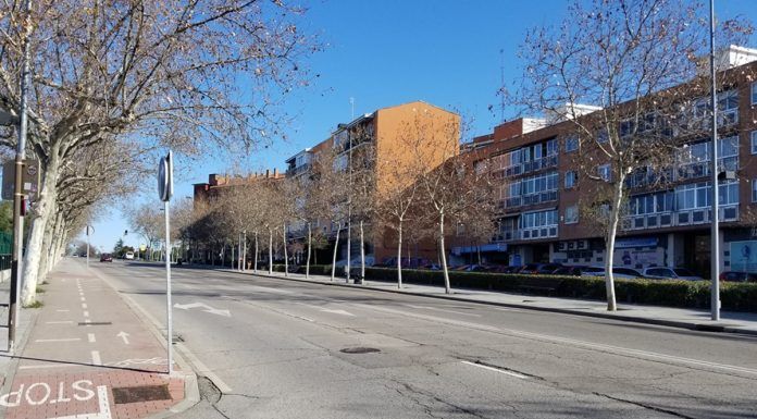 Nuevos detalles sobre el joven asesinado de forma macabra en Alcorcón