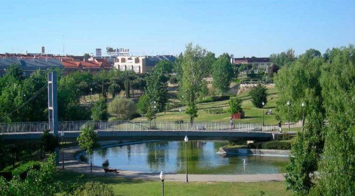 La VI Carrera Solidaria por la Esclerosis Múltiple se celebra en Alcorcón