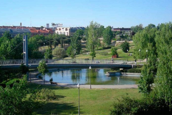 La VI Carrera Solidaria por la Esclerosis Múltiple se celebra en Alcorcón