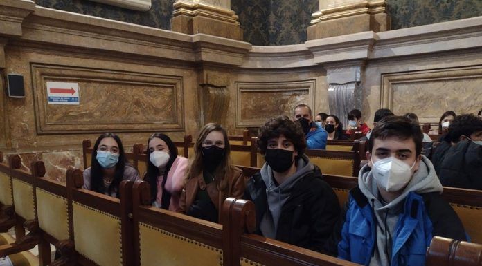 El Colegio Virgen del Remedio de Alcorcón triunfa en la olimpiada de geología