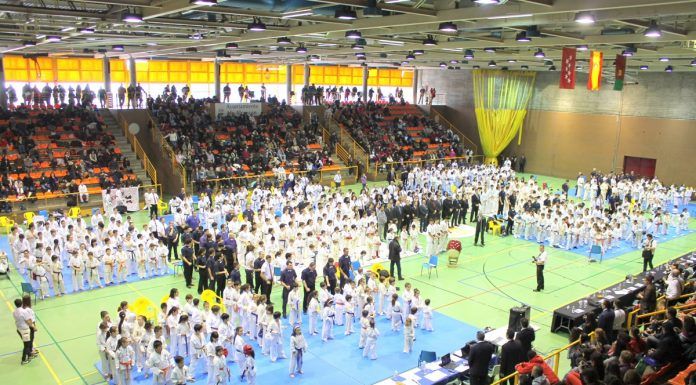 El Campeonato Nacional KWF España se celebra en Alcorcón