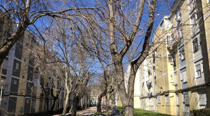 Detenido un hombre por agredir a su pareja en plena calle en Alcorcón