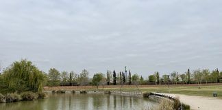 Detectado un caso de gripe aviar en Alcorcón