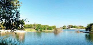 Detectado un brote de gripe aviar en el Parque Polvoranca de Alcorcón