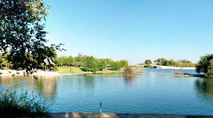 Detectado un brote de gripe aviar en el Parque Polvoranca de Alcorcón
