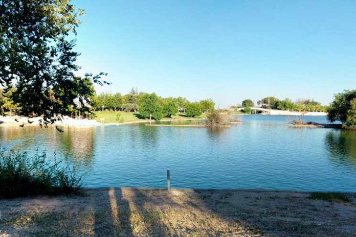 Detectado un brote de gripe aviar en el Parque Polvoranca de Alcorcón