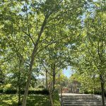 ocio-agenda-alcorcon